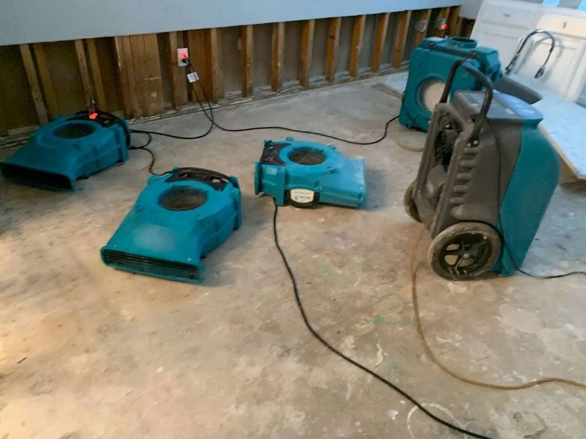 Water Damage Restoration services in Port Clinton, OH